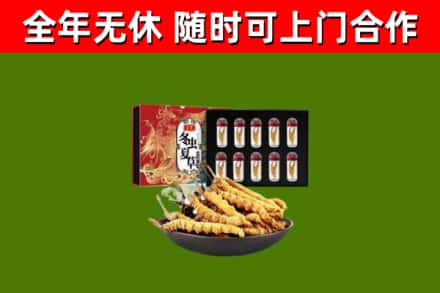 济阳回收冬虫夏草价格